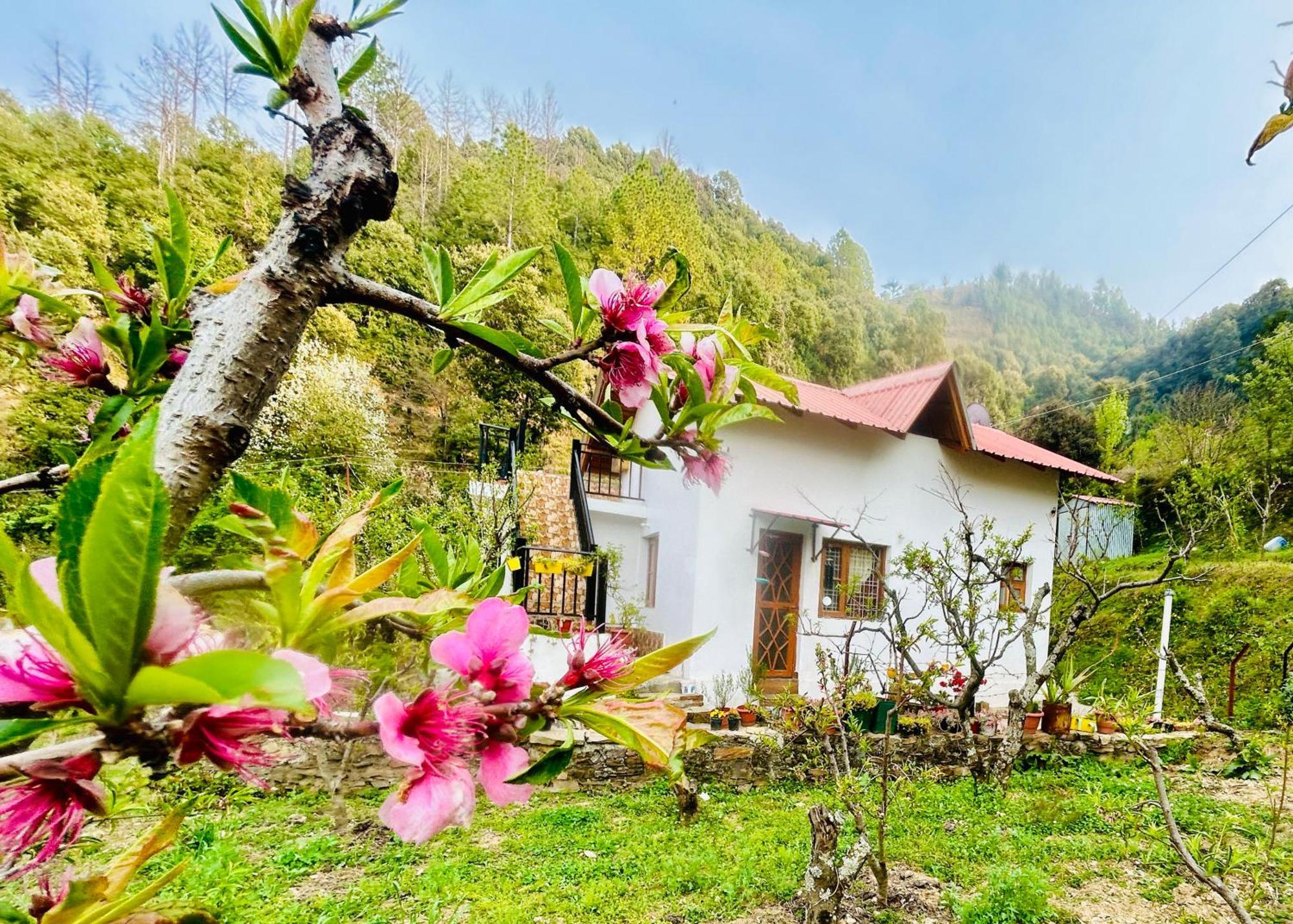 Love'S Farm, Cottage In Ramgarh Kültér fotó